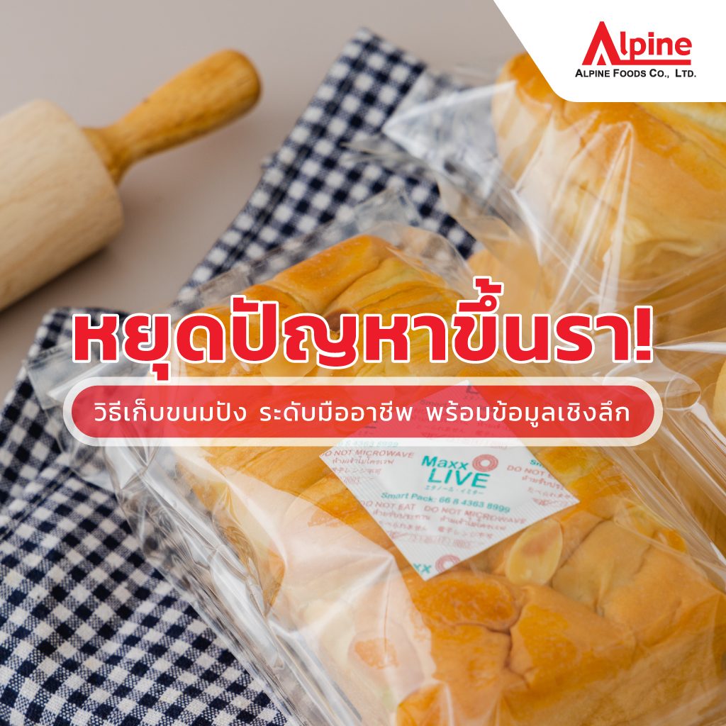 หยุดปัญหาขึ้นรา! วิธีเก็บขนมปัง ระดับมืออาชีพ พร้อมข้อมูลเชิงลึก